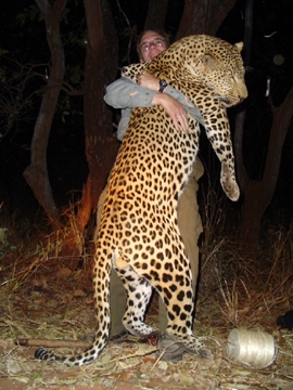 zambia_hunting_leopard_01[1]